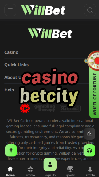 Casino Betcity - Russian Sportsbook & Casino Hub-casinoorder.vip